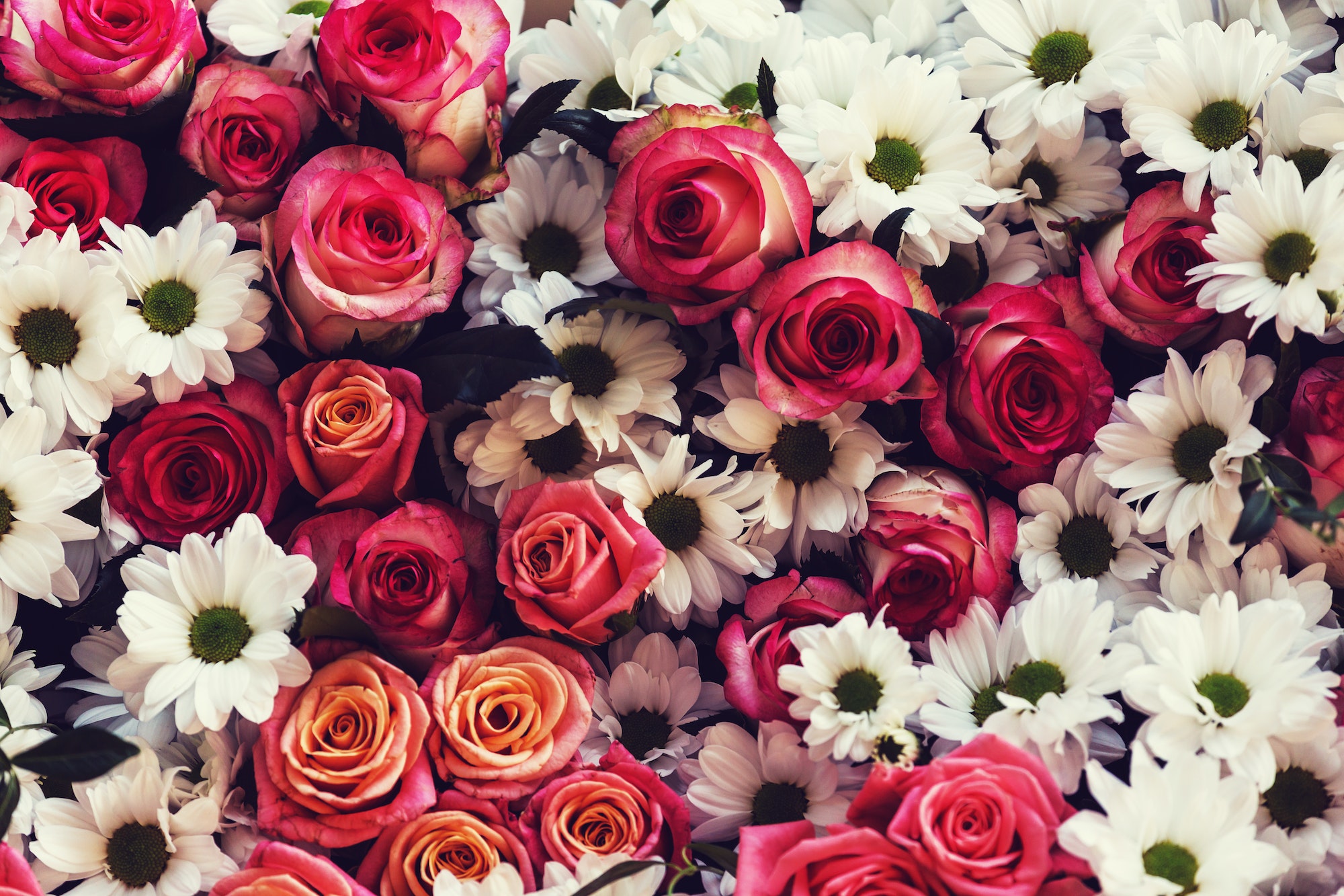 allestimento fiori per eventi e matrimoni